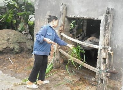 Huyện Phú Lương: Câu lạc bộ Liên thế hệ hoạt động hiệu quả 
