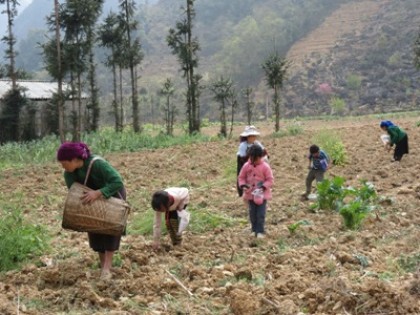 Chính sách giảm nghèo sẽ tập trung cho đồng bào dân tộc, miền núi 