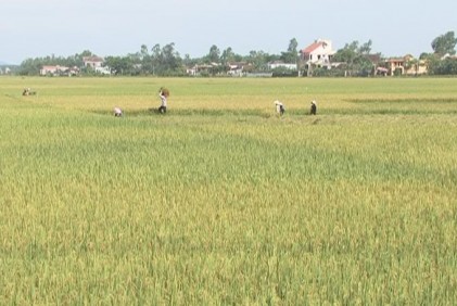 Người cao tuổi thành phố Đồng Hới đẩy mạnh phong trào thi đua “ Tuổi cao gương sáng”