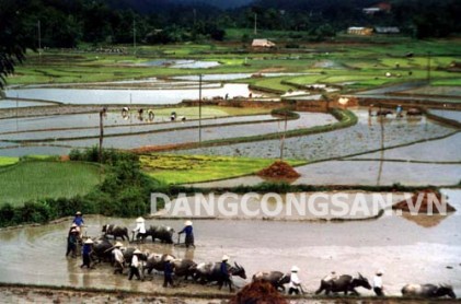 Bảo đảm các điều kiện tốt nhất để triển khai thi hành Luật Đất đai có hiệu quả 