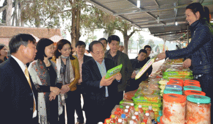 Bộ trưởng Hoàng Tuấn Anh kiểm tra công tác tổ chức lễ hội tại Vĩnh Phúc 